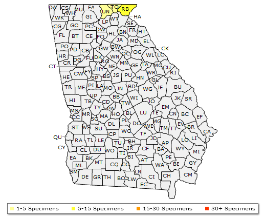 The Georgia range of Sorbus americana